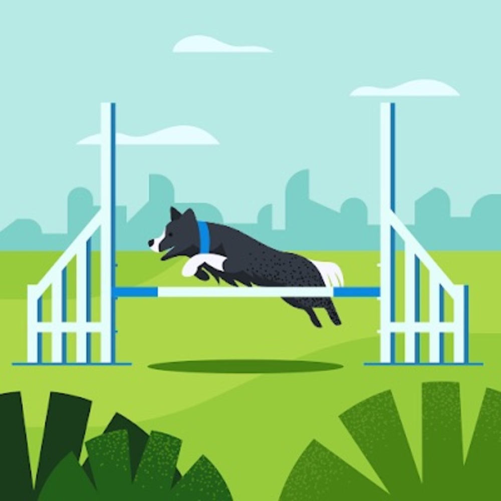 Meet your Posher, Grandma